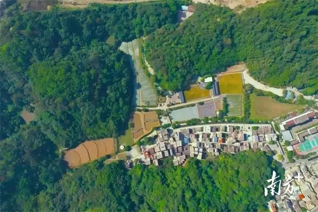 世界環境日，中山火炬高新區如何“以綠造美”