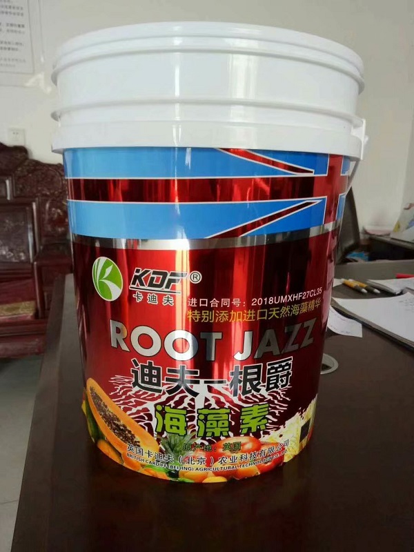 新型20公斤塑料桶，20升塑料桶